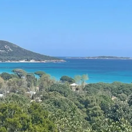 In Porto-vecchio With Pool Apartament Porto-Vecchio (Corsica)