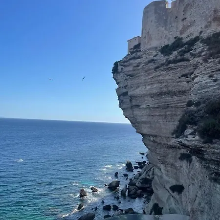 Apartament In Porto-vecchio With Pool Porto-Vecchio (Corsica)