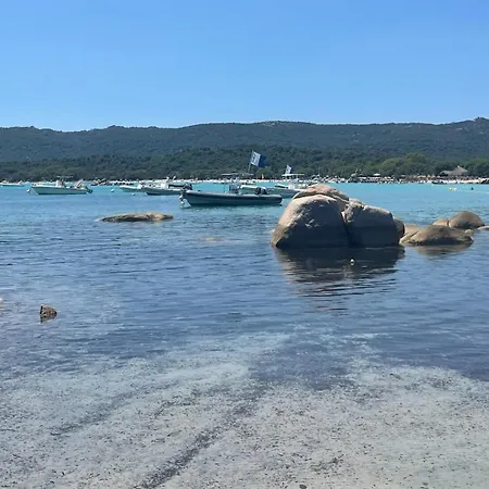 In Porto-vecchio With Pool Apartament Porto-Vecchio (Corsica)