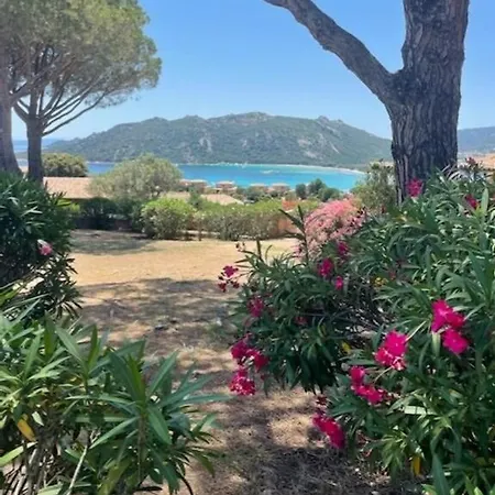 In Porto-vecchio With Pool * Porto Vecchio