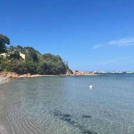 Apartamento In Porto-vecchio With Pool Porto Vecchio
